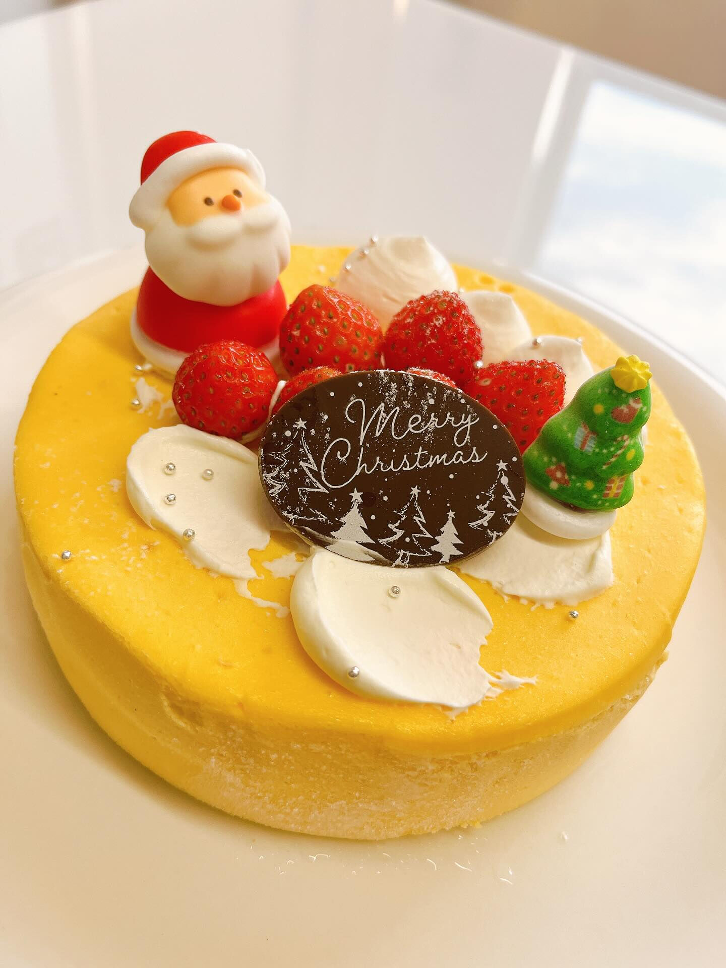 洋菓子etc.クリスマスケーキのご案内🎄